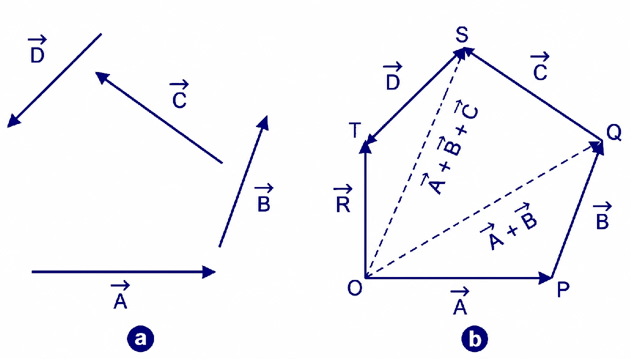 Polygon Law and Triangle Law of Vectors Addition, Lami's Theorem Analytical Method 4 What is Polygon Law of Vector Addition ?