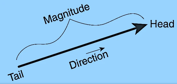 Scalars Vectors Types, Unit, Modulus or Magnitude, Negative, Equal, Orthogonal, Position, Collinear, Coplanar, Co-initial Vectors 2 Geometrical representation of a vector.. Graphicaly, a vector can be represented by a straight line with arrow head on it, i.e., an arrowed line.