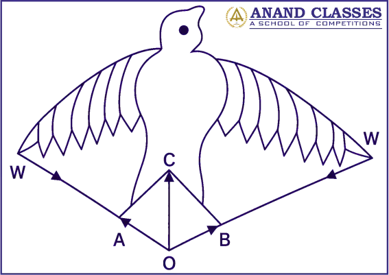 Components of Vectors conceptual question and answer Can flight of a bird be an example of the composition of vectors ?