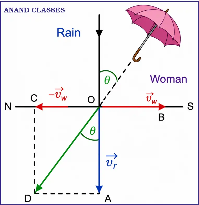 NCERT Solutions for Vectors Class 11 Physics Chapter Motion in a Plane 5 Rain is falling vertically with a speed of 30 m/s. A woman rides a bicycle with a speed of 10 m/s in the North to South direction. What is the direction in which she should hold her umbrella?