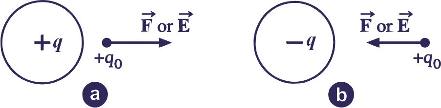 Direction of electric field due to positive and negative charges