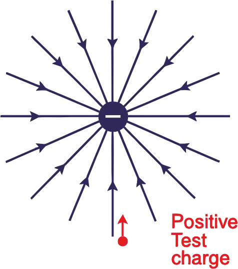 Electric field lines directed radially inward toward a negative point charge