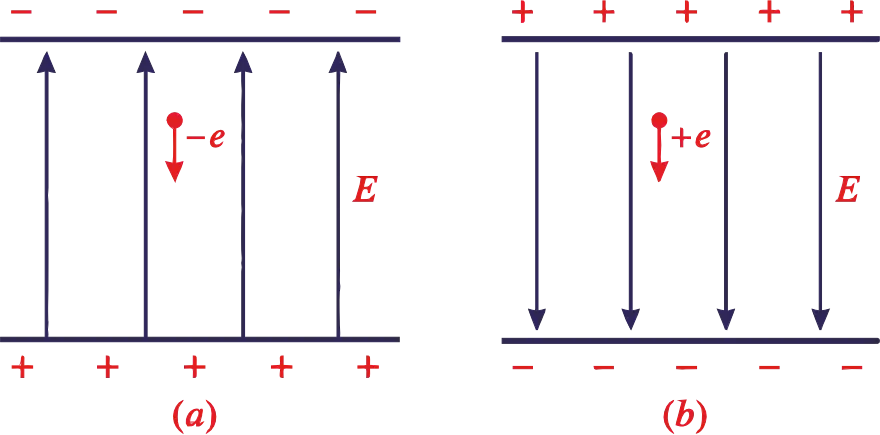 Electron and proton falling through a uniform electric field