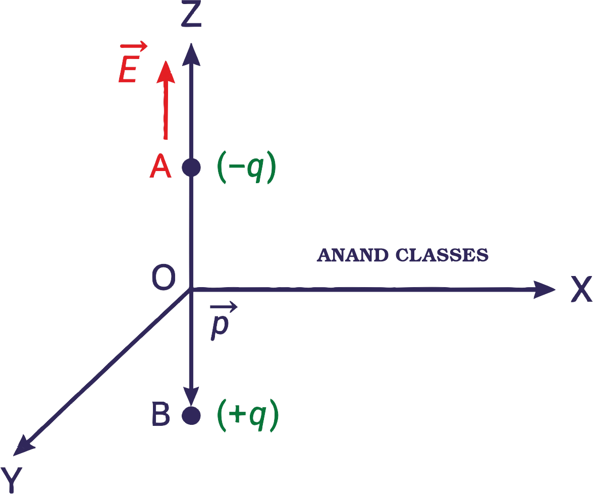 Solved numerical problem on torque of an electric dipole