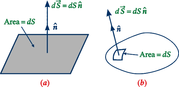 Area vector showing a planar area element and an area element of a curved surface